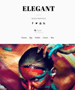Themify Elegant WordPress Theme