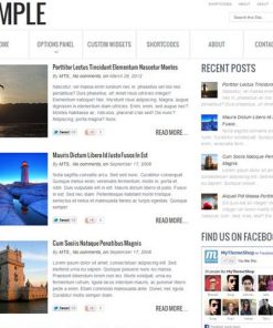MyThemeShop Simple WordPress Theme