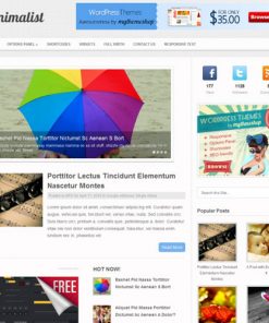 MyThemeShop Minimalist WordPress Theme