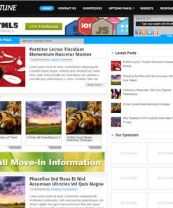 MyThemeShop Fortune WordPress Theme