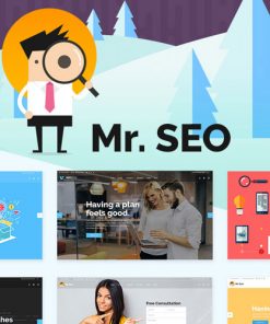 Mr. SEO – SEO, Marketing Agency and Social Media Theme