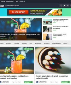 MyThemeShop Bridge WordPress Theme