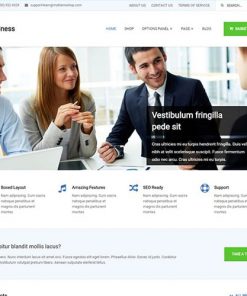 MyThemeShop Business WordPress Theme