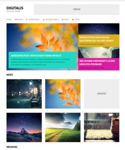 MyThemeShop Digitalis WordPress Theme