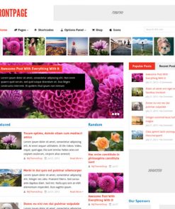 MyThemeShop Frontpage WordPress Theme
