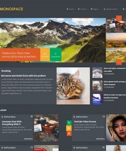 MyThemeShop Monospace WordPress Theme