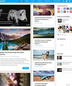 MyThemeShop Pinstagram WordPress Theme