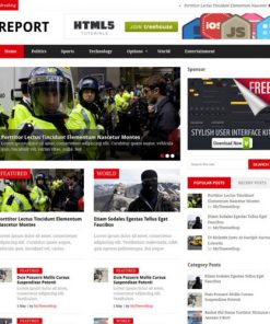 MyThemeShop Report WordPress Theme