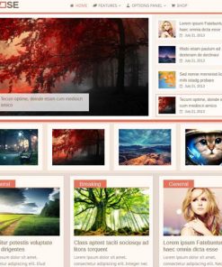 MyThemeShop Repose WordPress Theme