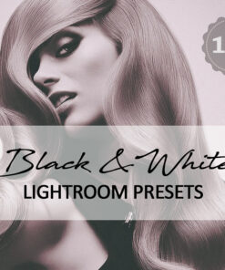 100 Black & White Lightroom Presets Vol. 1