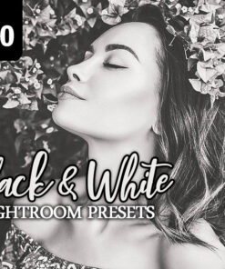 150 Black & White Lightroom Presets Vol. 2