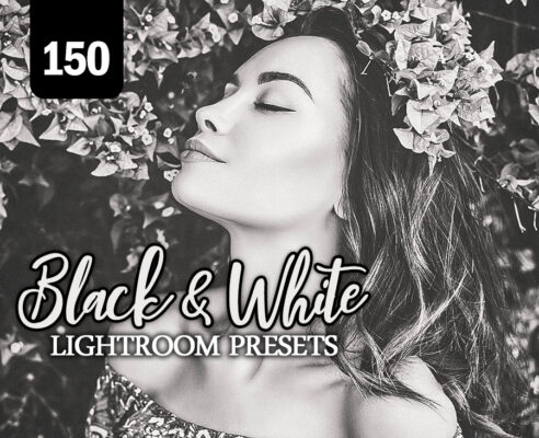 150 Black & White Lightroom Presets Vol. 2